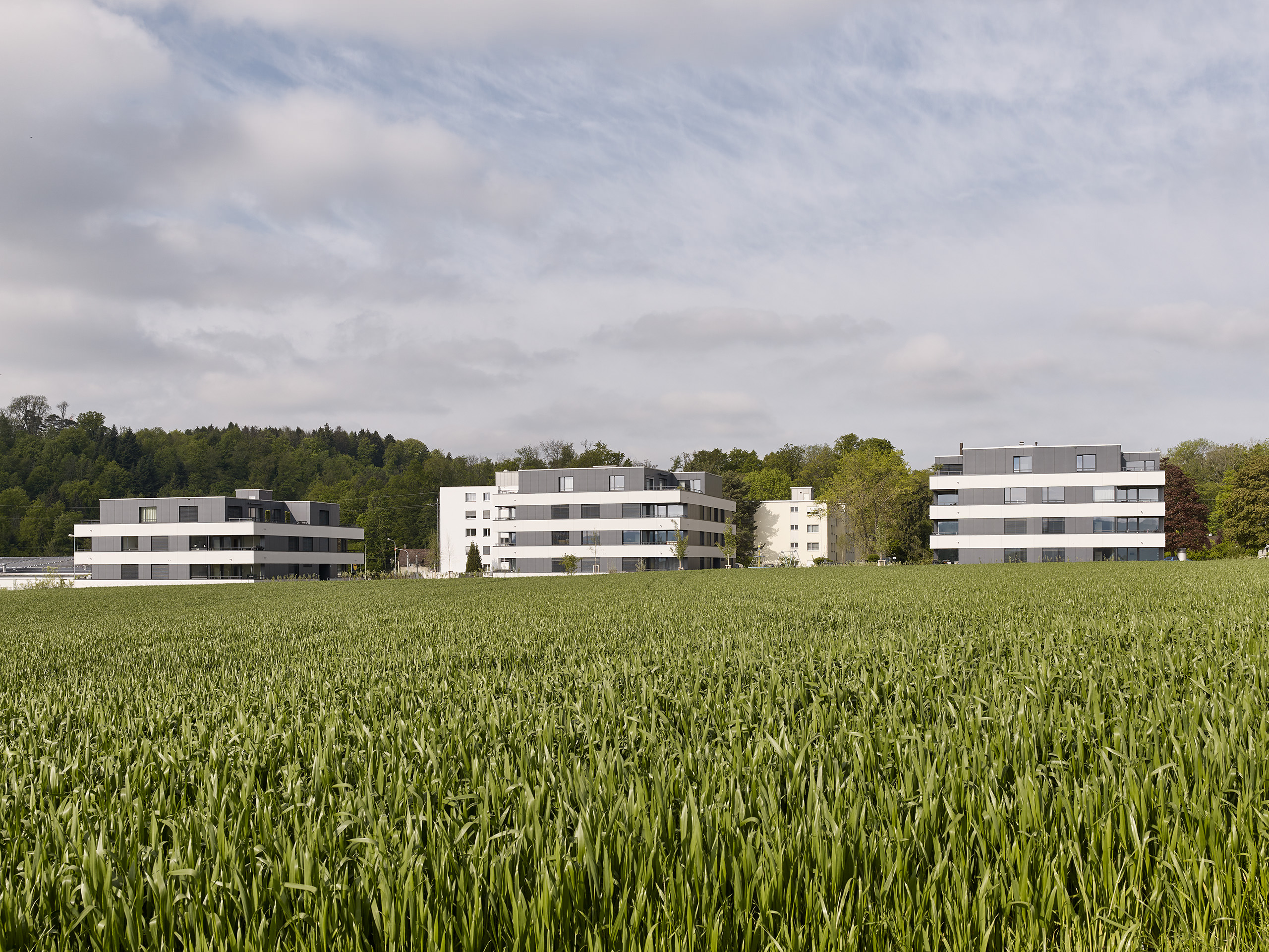 E18686 Alpa 088556 SCREEN